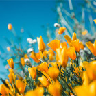 新着情報・記事テスト04