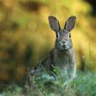 ブログ記事テスト04