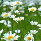 新着情報・記事テスト02